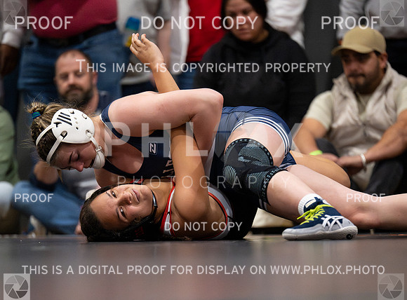 DLS_5076