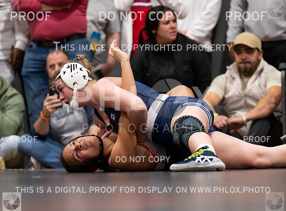 DLS_5072