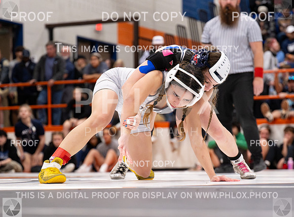 DLS_5916