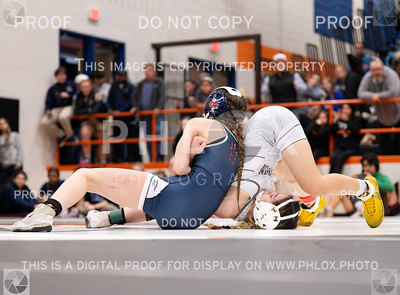 DLS_5938