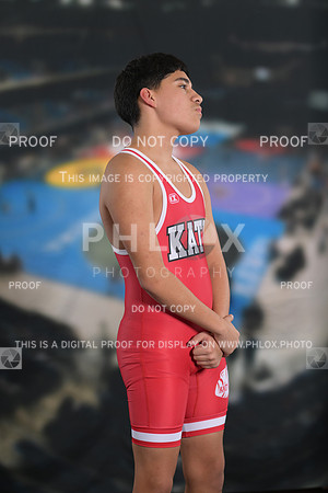 DLS_9672