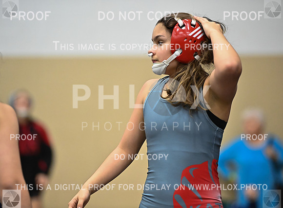 DLS_6879