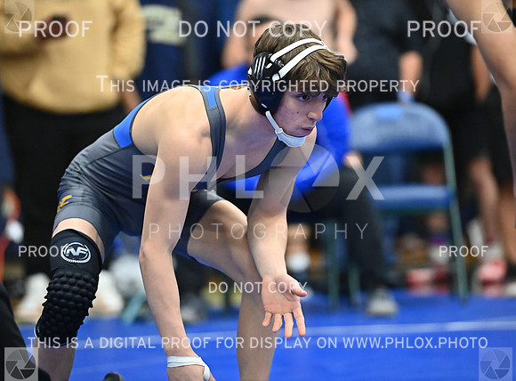DLS_6906