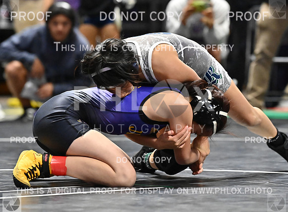 DLS_7201