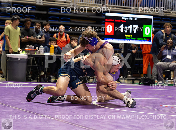 DLS_1349
