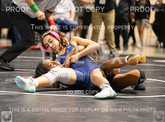 DLS_1420