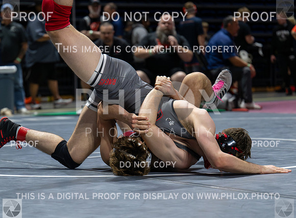 DLS_4441