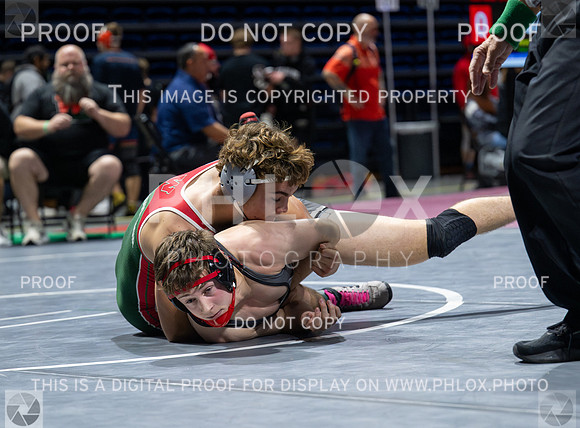 DLS_4443