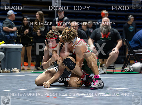 DLS_4445