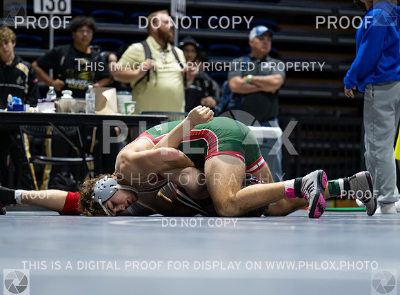 DLS_4450