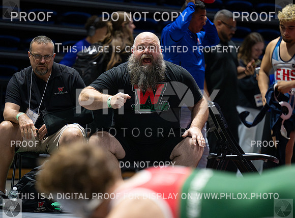 DLS_4510
