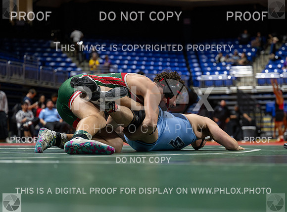 DLS_4573