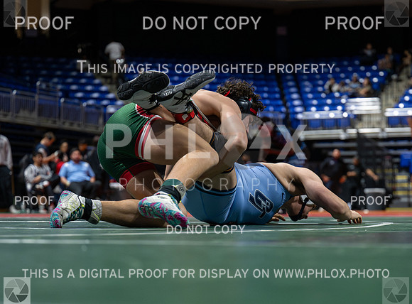 DLS_4574