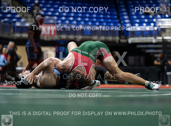 DLS_4577