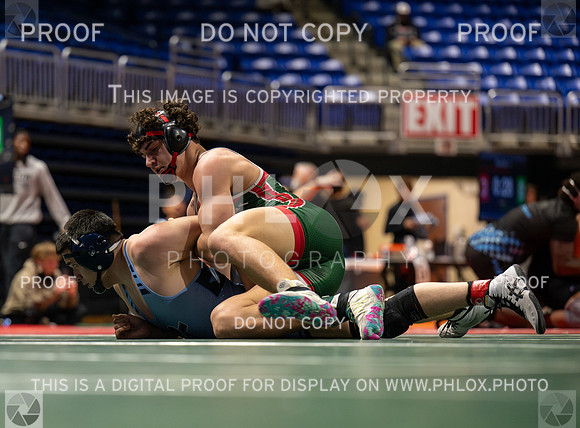 DLS_4579