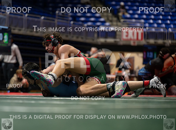 DLS_4580