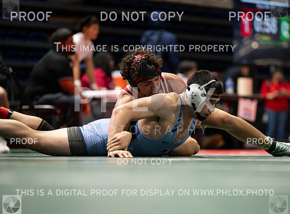 DLS_4591