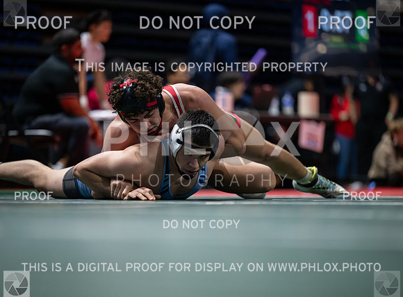DLS_4593