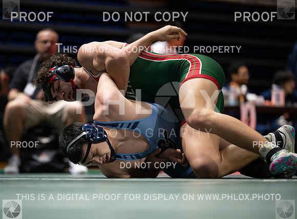 DLS_4597