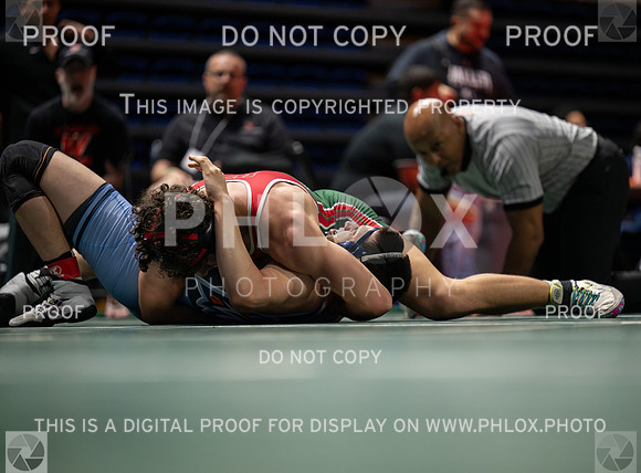 DLS_4604