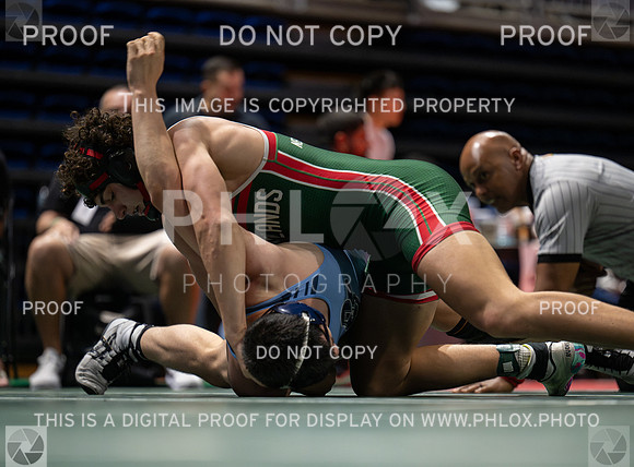 DLS_4601