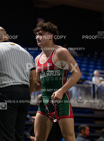 DLS_4615