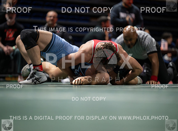DLS_4608