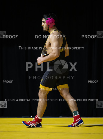 DLS_5633