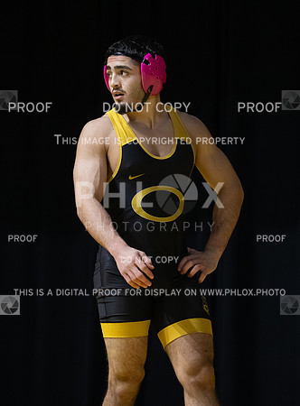 DLS_5651