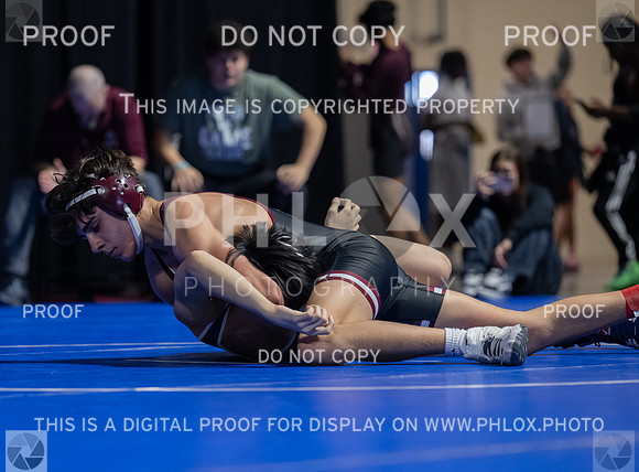 DLS_5657
