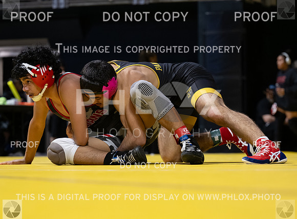 DLS_5665