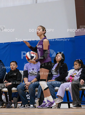 DLS_0008