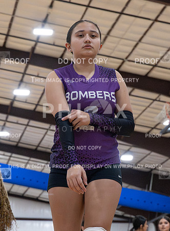 DLS_0036