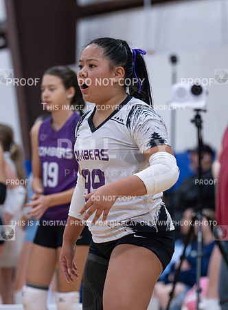 DLS_0079