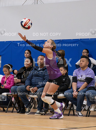 DLS_0181