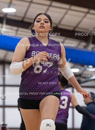DLS_0268