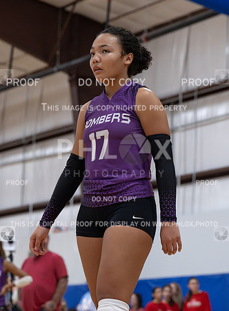 DLS_0293