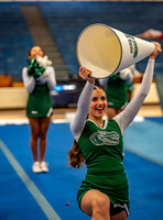 CW_011326-v-528