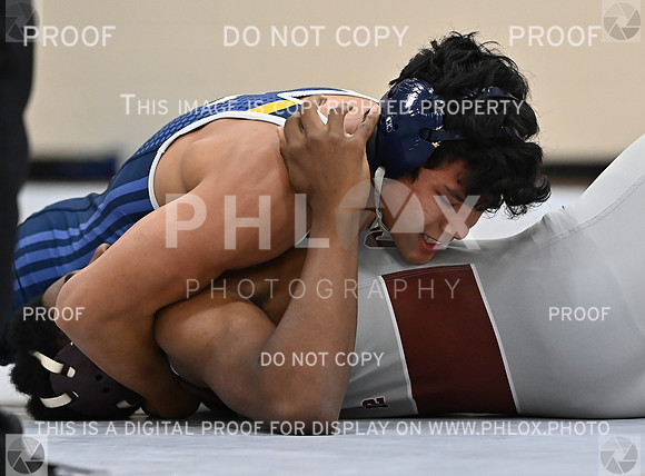 DLS_4201