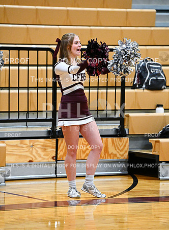 DLS_3216