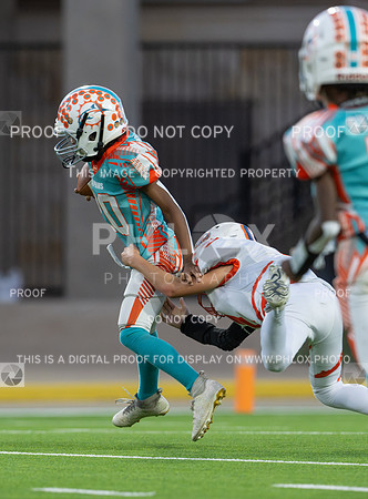 4pm Jv-Bears (V) vs Dolphins (H)-135