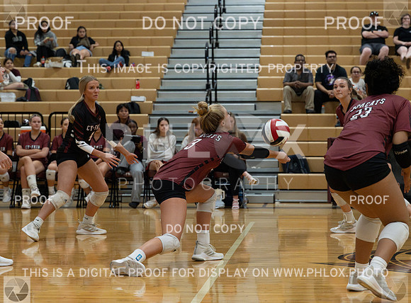 DLS_7283