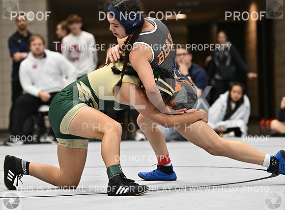 DLS_4148