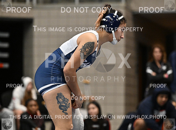 DLS_4101