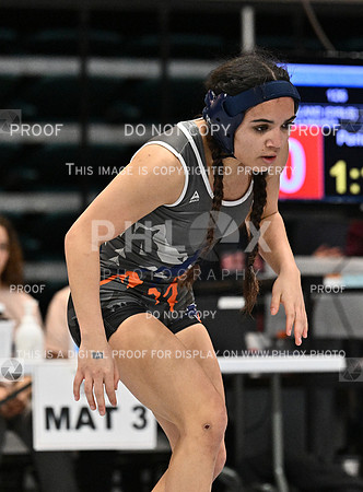 DLS_4116