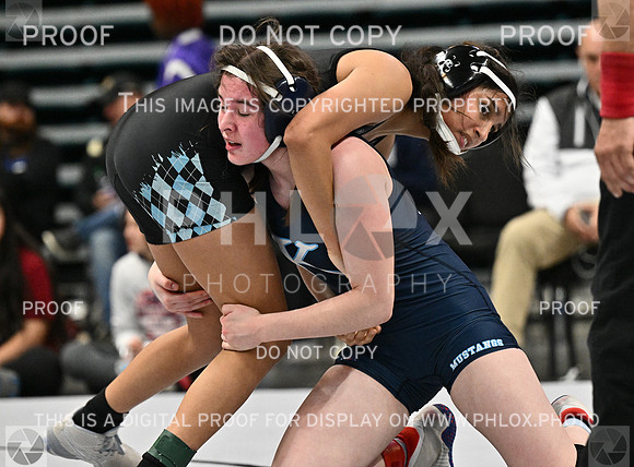 DLS_4971