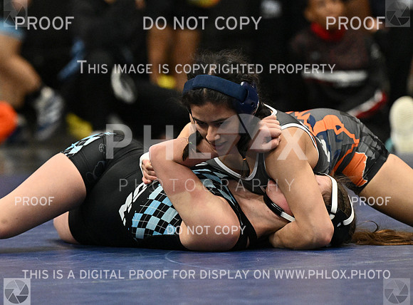 DLS_3364