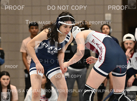 DLS_3465