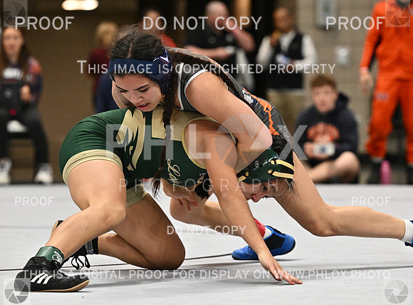 DLS_4159