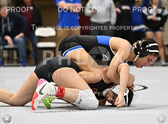 DLS_4013